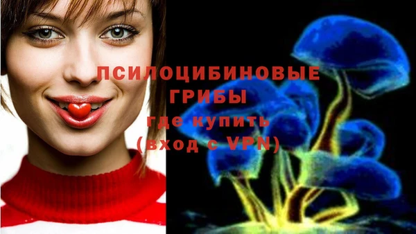 стаф Армянск