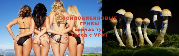 прущий лед Аркадак