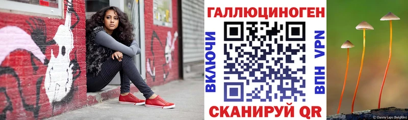 Псилоцибиновые грибы Cubensis  закладка  Моршанск 